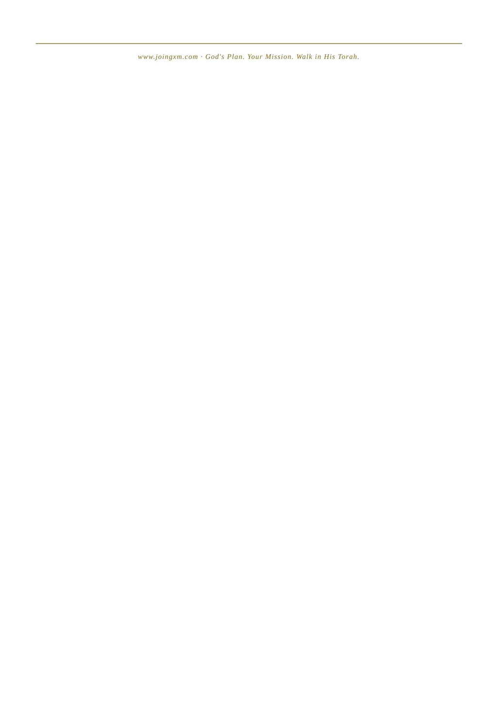 A minimalist white page with a thin horizontal line across the top and small centered text reading 'www.jingjpek.