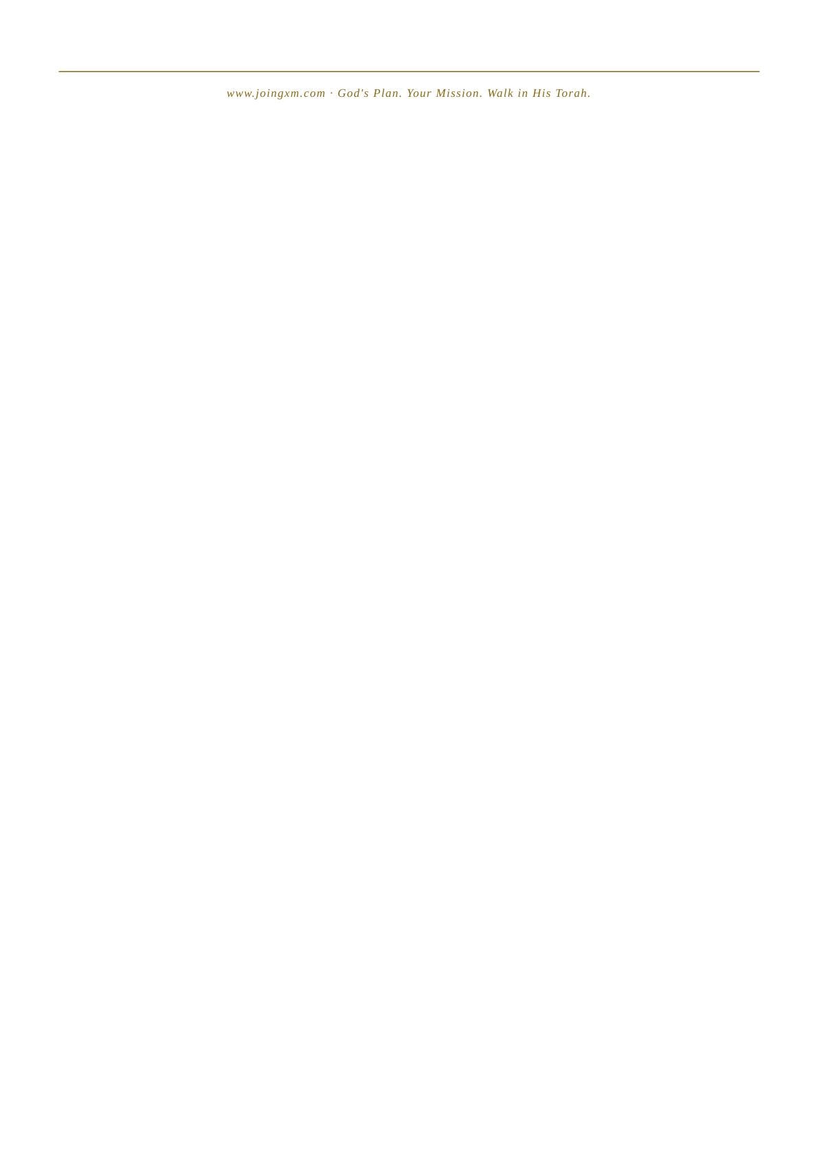 A minimalist white page with a thin horizontal line across the top and small centered text reading 'www.jingjpek.